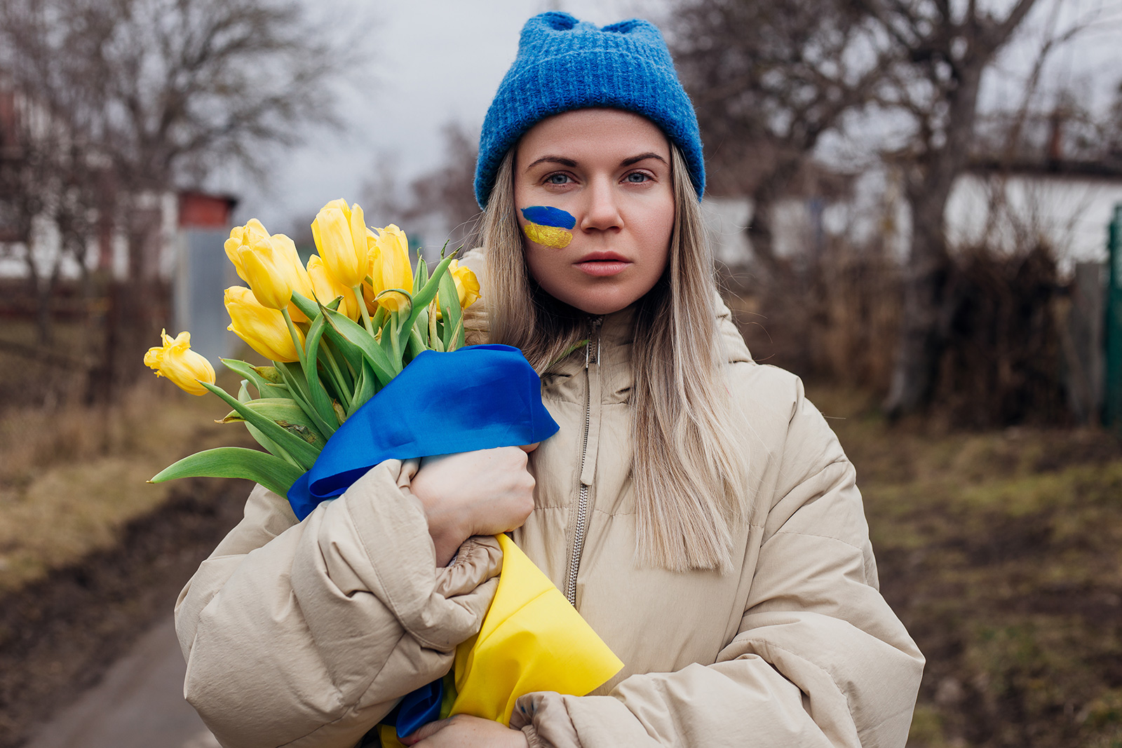 Inspecting Ukrainian / Russian Conflict Imagery